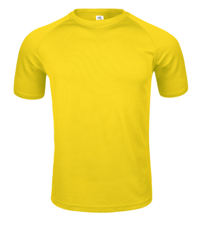 Premium Quick-Dry Sports T-shirt